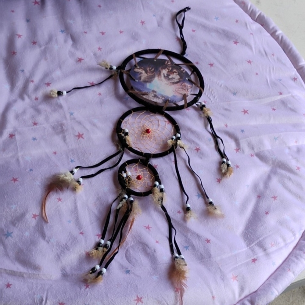 Dreamcatcher with Feathers and Beads